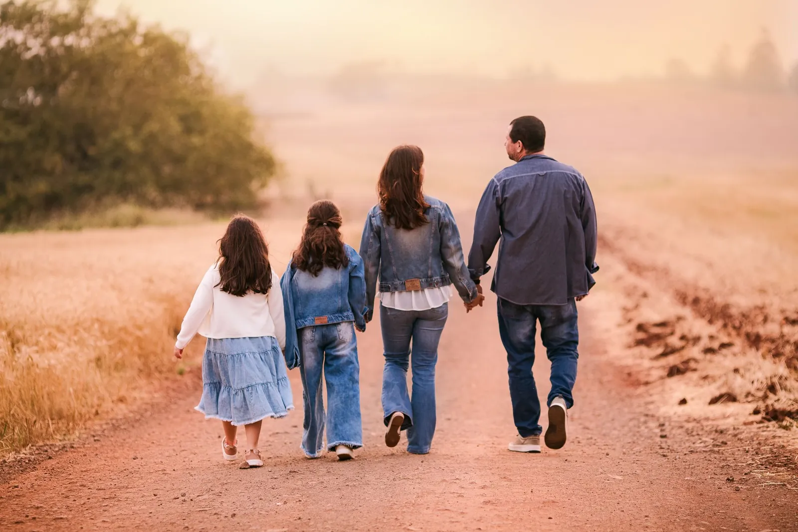 Family of four walking hand in hand down a country road